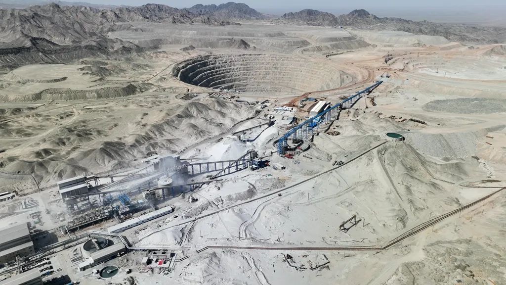 ������(8883��AMG)�ٷ���վ