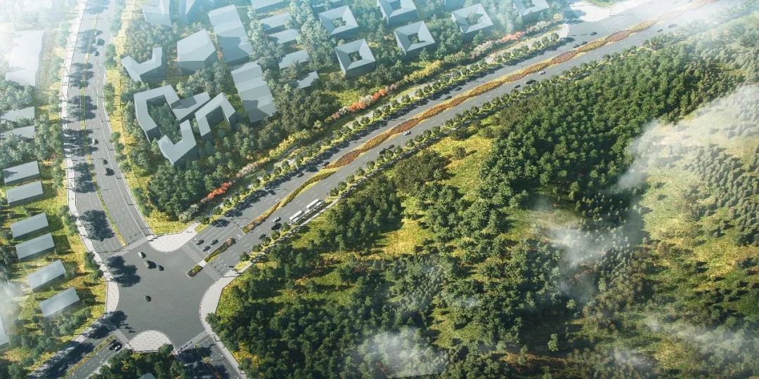 ������(8883��AMG)�ٷ���վ